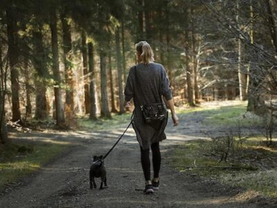 Camminare ogni giorno: benefici e importanza delle passeggiate