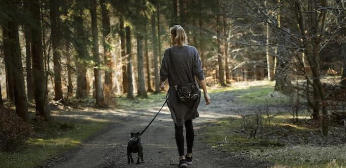 Camminare ogni giorno: benefici e importanza delle passeggiate